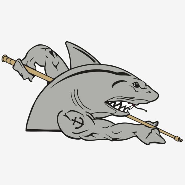 AR POOL 27 RC Thumbnail