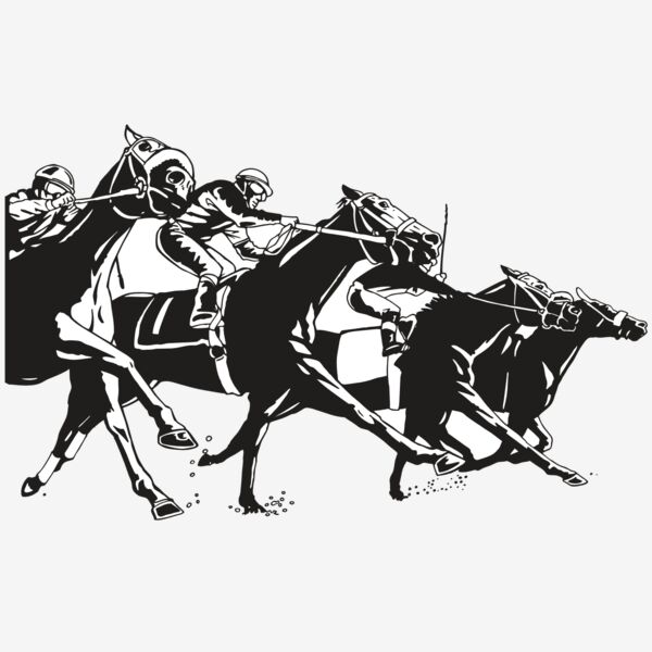 AR EQUEST 13 RC Thumbnail