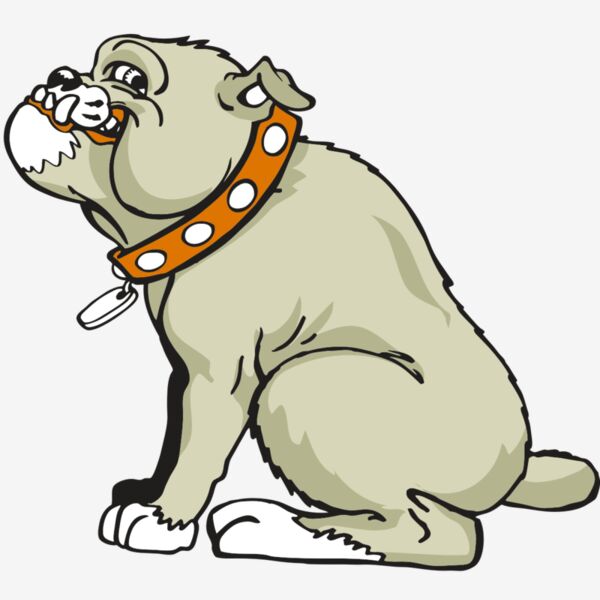 AR BDOG 26 RC Thumbnail