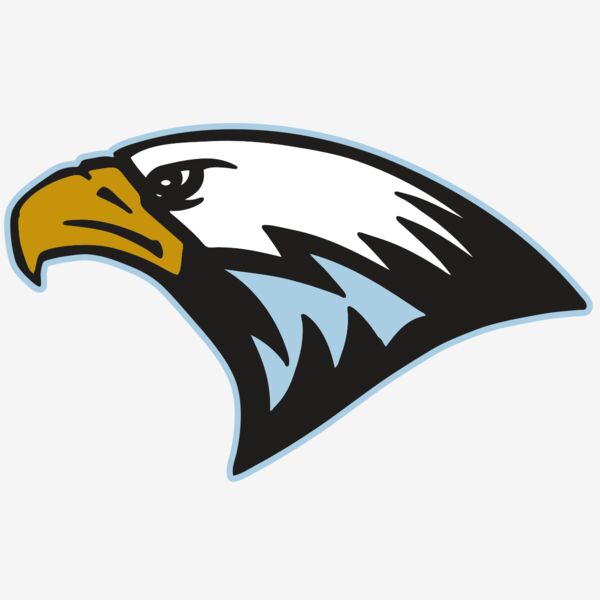 AR EAGLE 27 RC Thumbnail