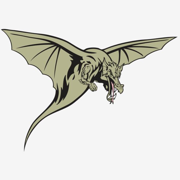 BAW DRAGON 12 RC Thumbnail