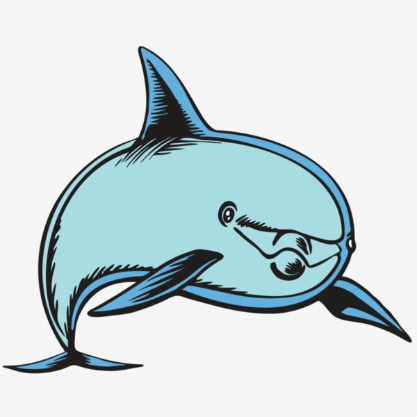 BAW DOLPHIN 04 RC Thumbnail