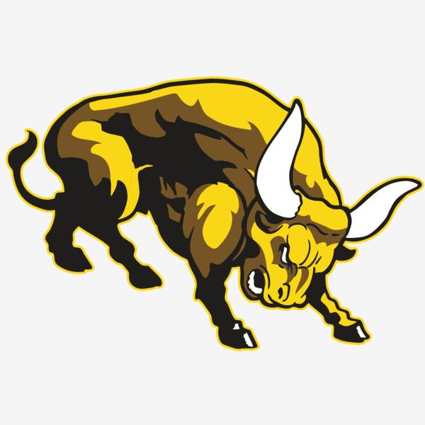 AR BULL 57 RC Thumbnail