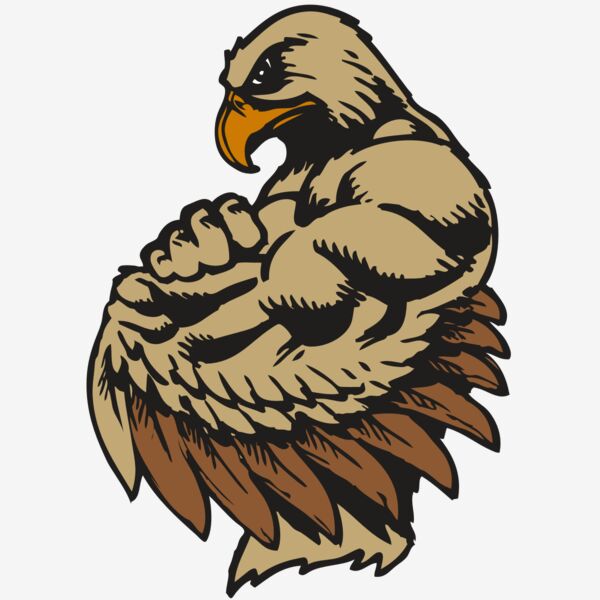 BAW HWK FLCN 02 RC Thumbnail