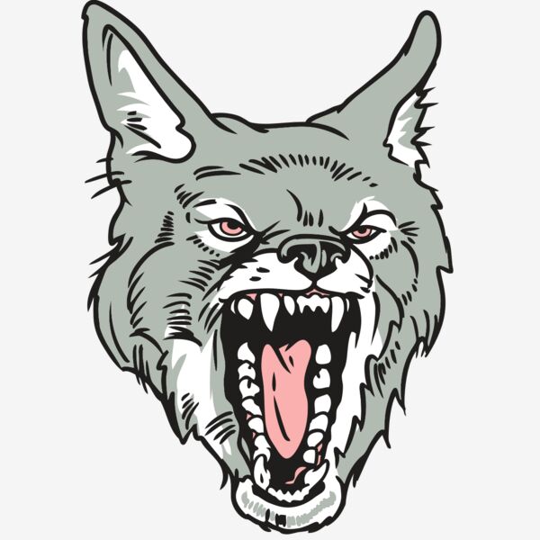 AR32 COYOTE 11 RQC Thumbnail