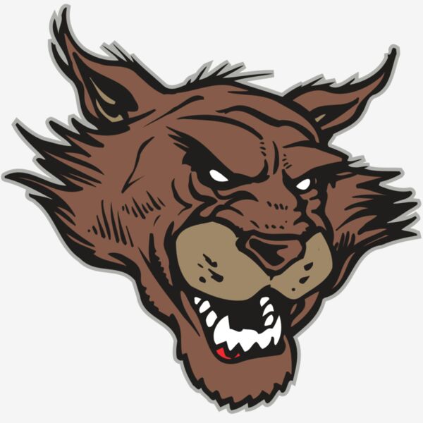 AR WILDCAT 11 RC Thumbnail