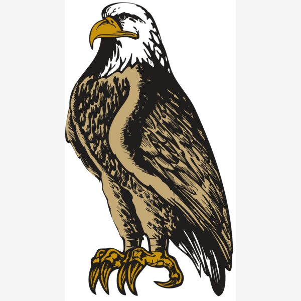 BAW EAG 02 RC Thumbnail