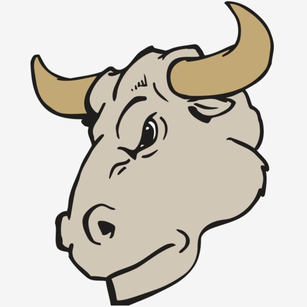 AR BULL 25 RC Thumbnail