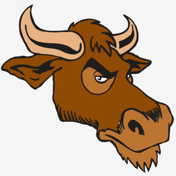 AR5 Bull 06 RQC Thumbnail