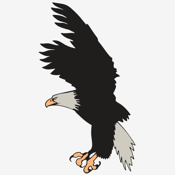 AR EAGLE 91 RC Thumbnail