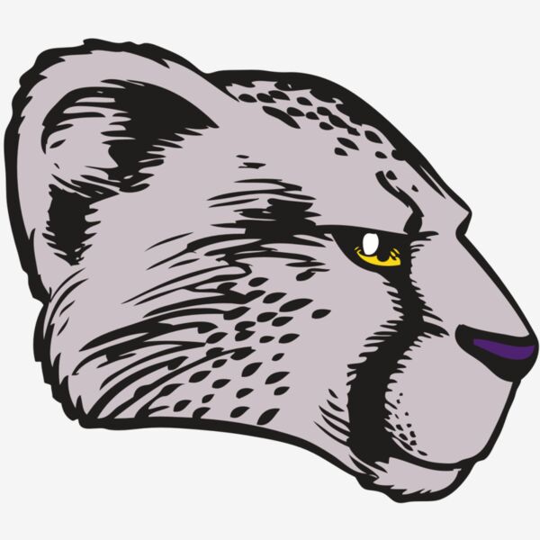 BAW CHEETAH 20 RC Thumbnail