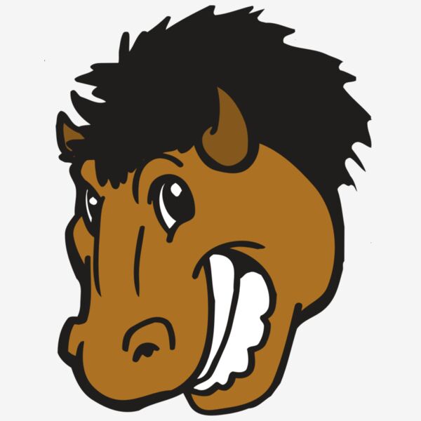 AR BUFFALO 17 RC Thumbnail