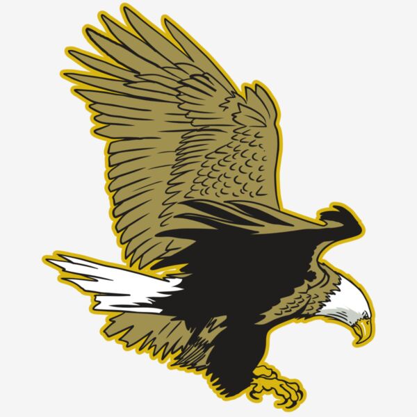 AR10 EAGLE 01 RQC Thumbnail