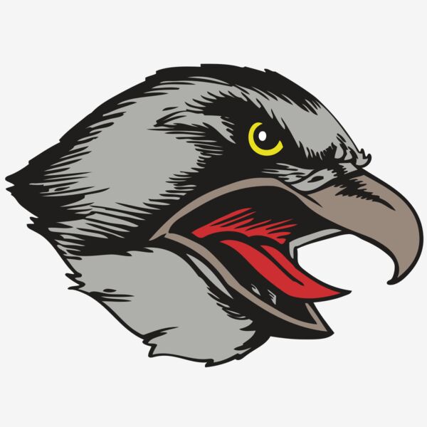 BAW HWK FLCN 13 RC Thumbnail