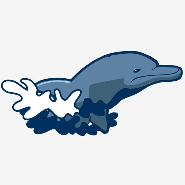 AR DOLPIN 10 RC Thumbnail