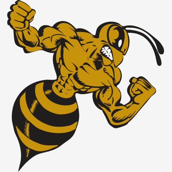 BAW BEE 01 RC Thumbnail