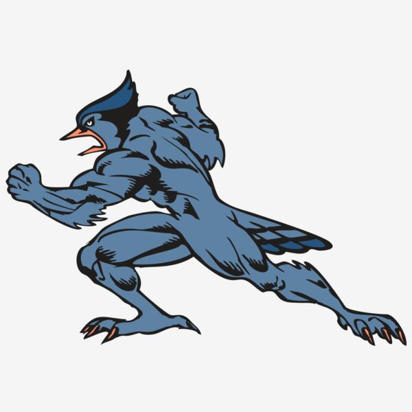 BAW BLUEJAY 15 RC Thumbnail