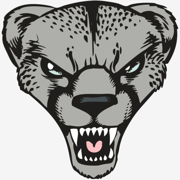 BAW CHEETAH 15 RC Thumbnail