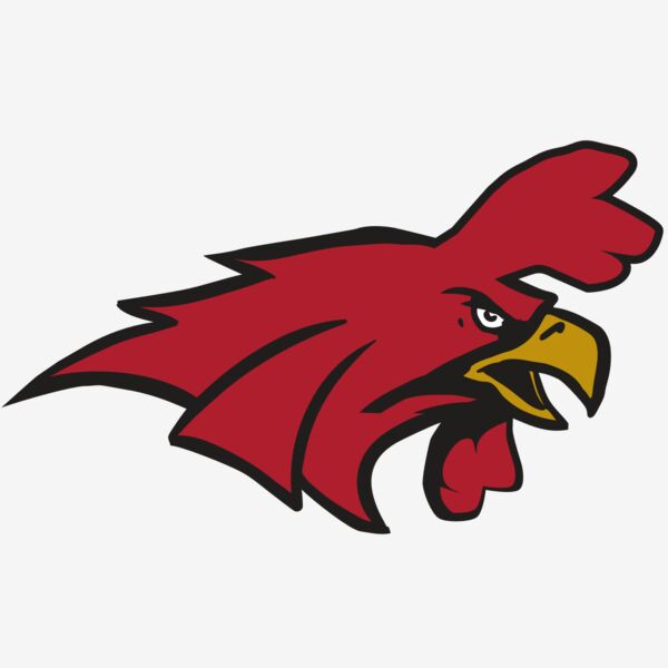 AR15 GAMECOCK 01 RQC Thumbnail