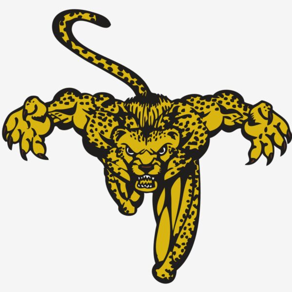 BAW CHEETAH 08 RC Thumbnail