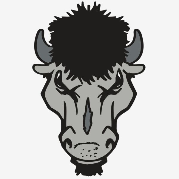 AR BUFFALO 15 RC Thumbnail