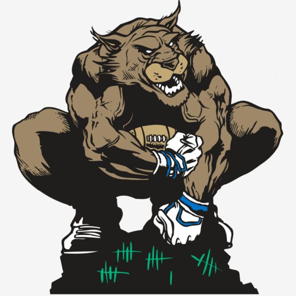 AR WILDCAT 34 RC Thumbnail