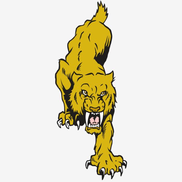 AR30 SABER 08 RQC Thumbnail