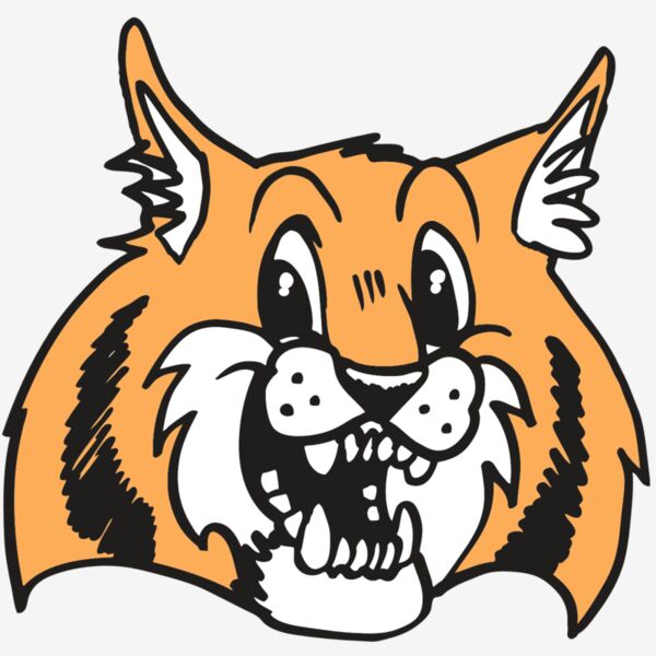 AR WILDCAT 13 RC Thumbnail