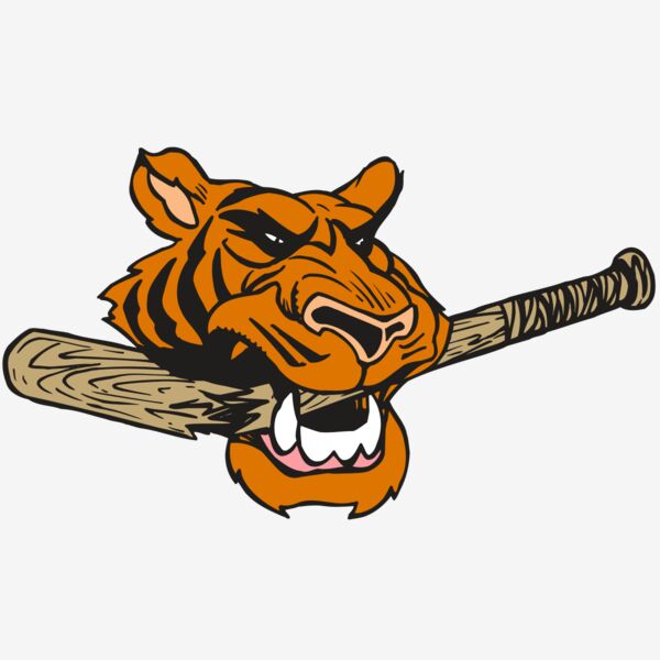 AR5 Tiger 11 RQC Thumbnail