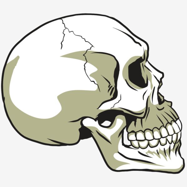 AR24 SKULL 12 RQC Thumbnail