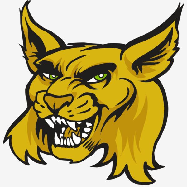 AR30 WILDCAT 03 RQC Thumbnail