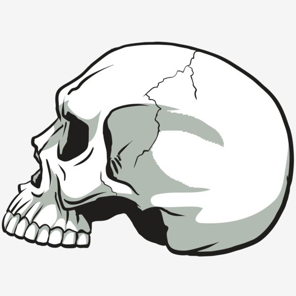 AR24 SKULL 11 RQC Thumbnail