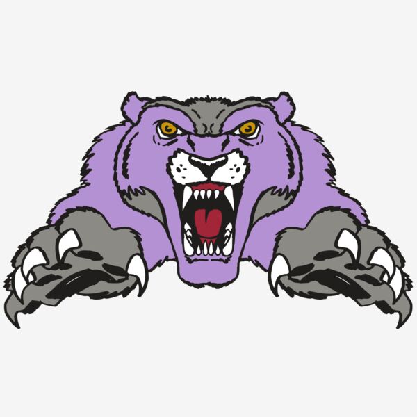 AR WOLVERINE 17 RC Thumbnail