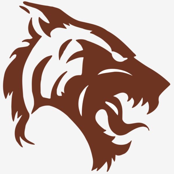 AR5 TIGER 06 RQC Thumbnail