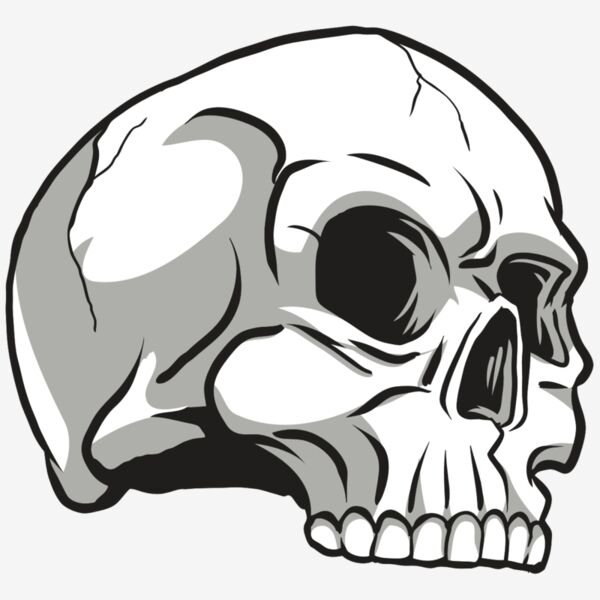 AR24 SKULL 10 RQC Thumbnail