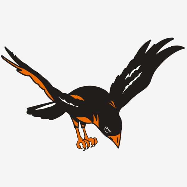 AR ORIOLE 16 RC Thumbnail