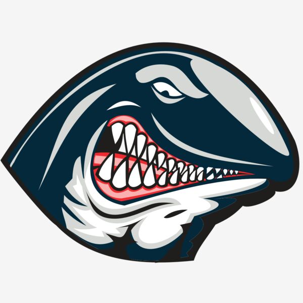 WHALE HD0501 RQC Thumbnail