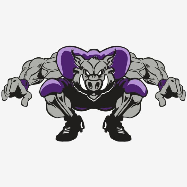 AR RAZORBACK 28 RC Thumbnail