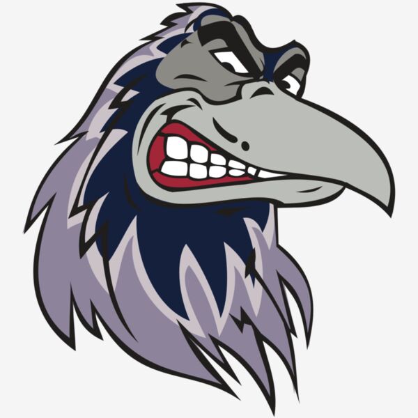 RAVEN HD0504 RQC Thumbnail