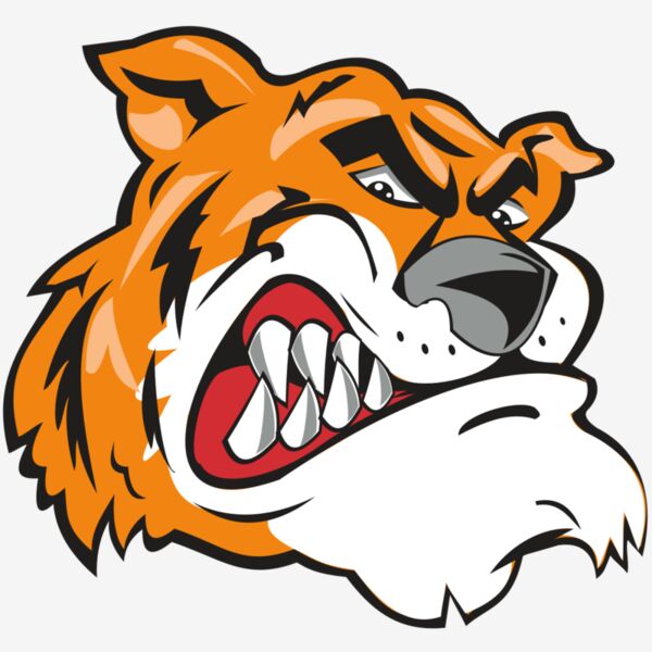 TIGER HD0503 RQC Thumbnail