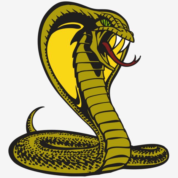 BAW SNAKE 02 RC Thumbnail