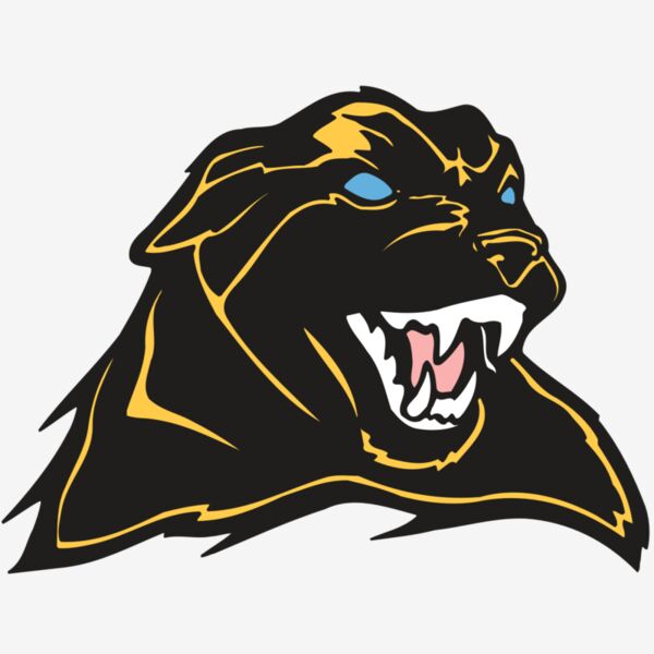 AR COUGAR 42 RC Thumbnail