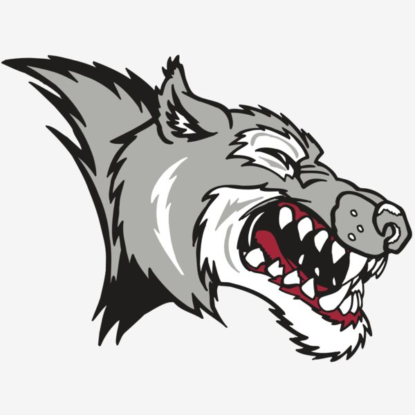 AR WOLF 15 RC Thumbnail