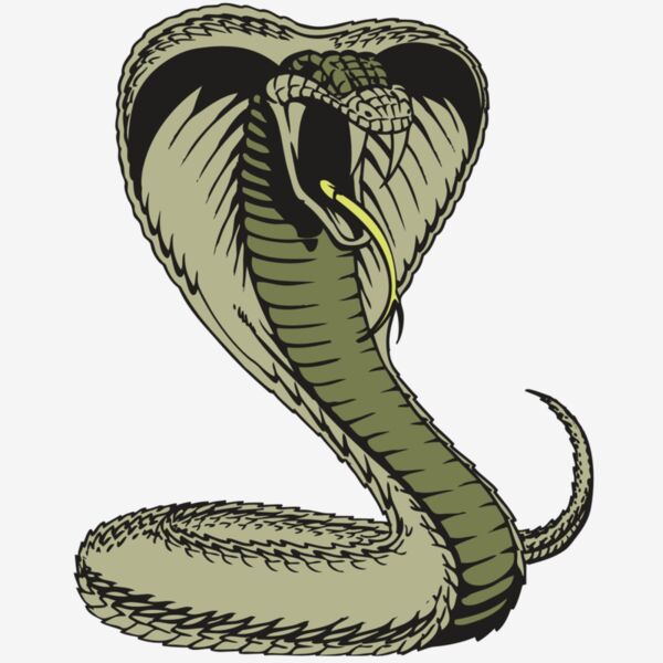 BAW SNAKE 07 RC Thumbnail