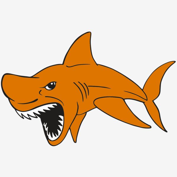 AR  SHARK 20 RC Thumbnail