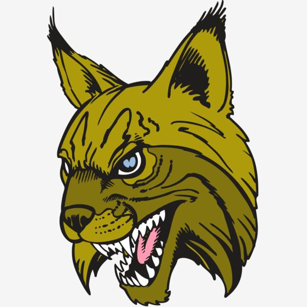 BAW BOBCAT 05 RC Thumbnail