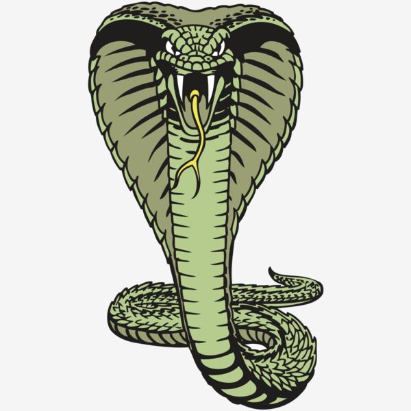 BAW SNAKE 15 RC Thumbnail