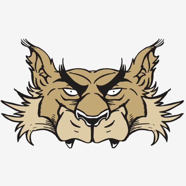 AR5 Wolf 28 RQC Thumbnail