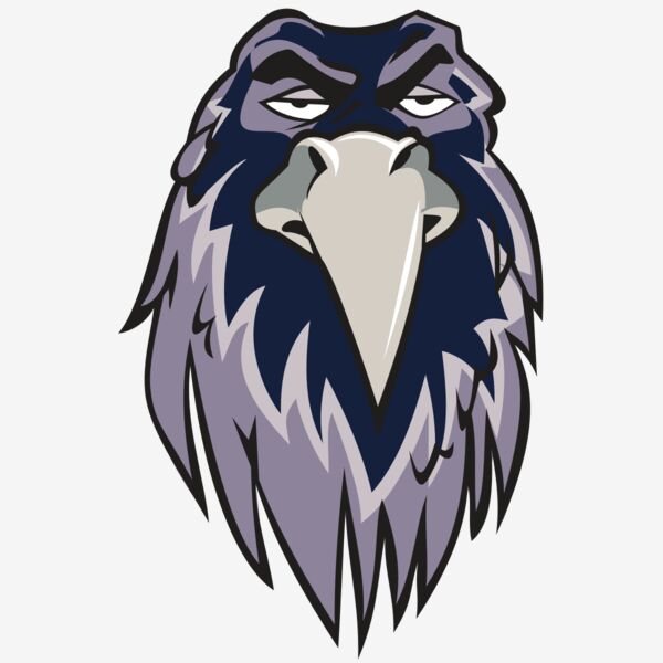 RAVEN HD0502 RQC Thumbnail