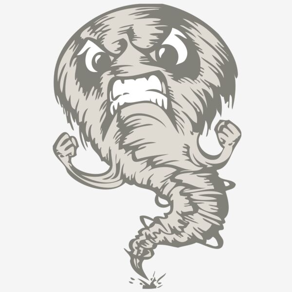 BAW STORM 07 RC Thumbnail